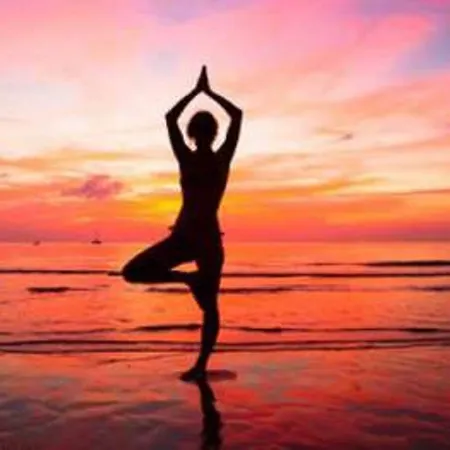 Sao Vicente - Panoramic Retreat