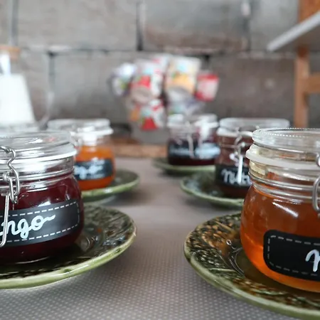 Sao Vicente - Panoramic Retreat Holiday home Capelas (Sao Miguel)